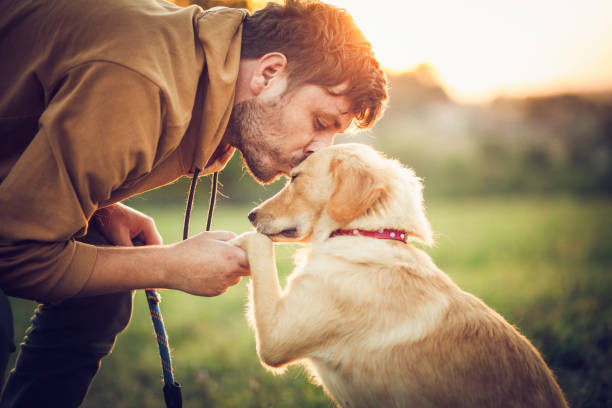 mutuelle santé pour chien