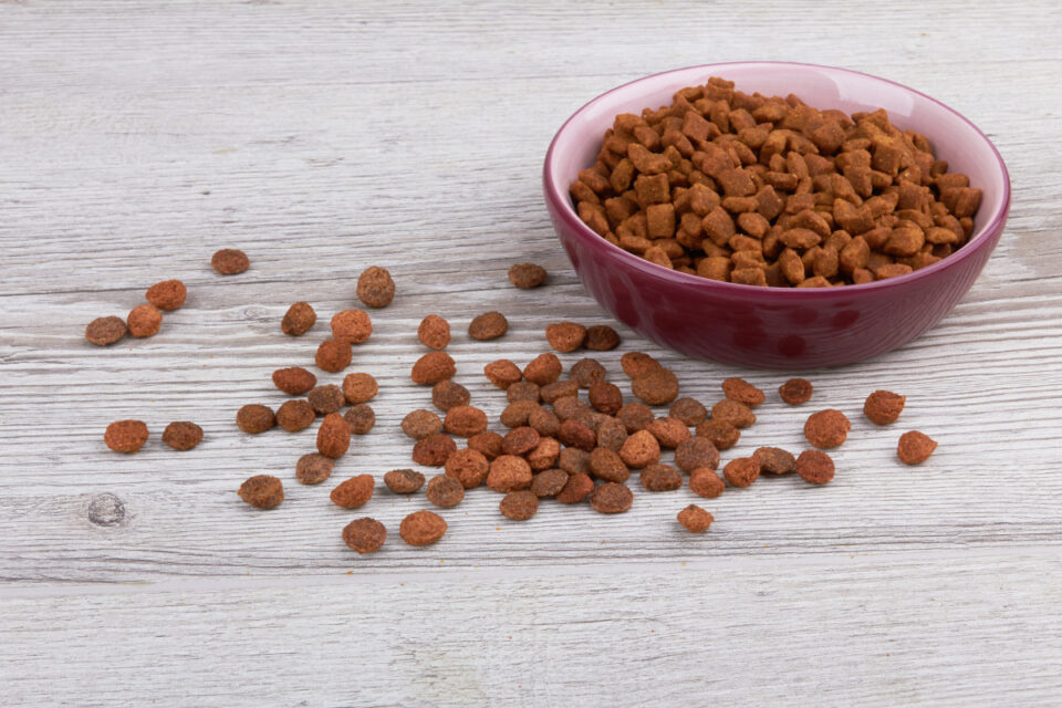 Alimentation des animaux